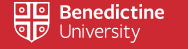 班尼迪克大学