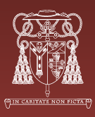 卡迪夫圣约翰中学