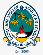 乔治安娜莫洛伊圣公会学校