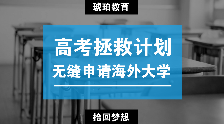 琥珀教育 高考拯救计划